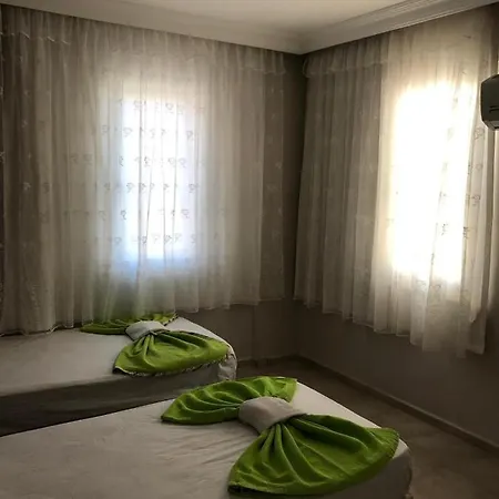 Mirvilla Naz2 *