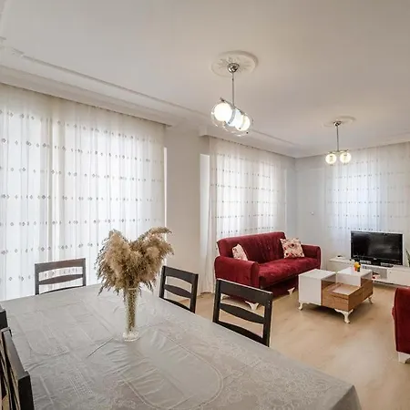 Mirvilla Naz2 *